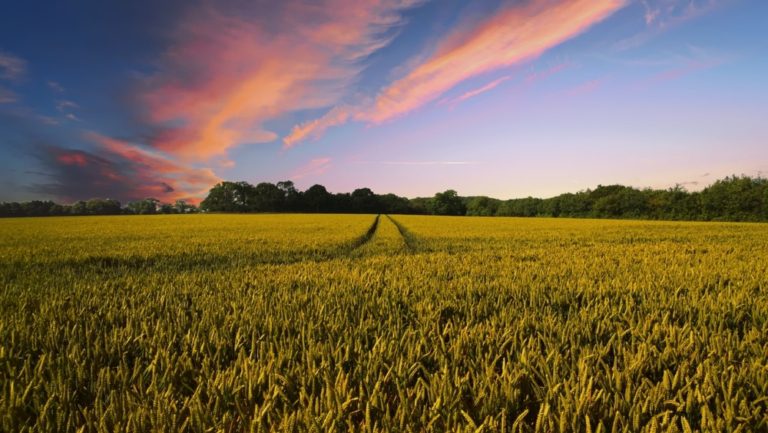 Land Financing