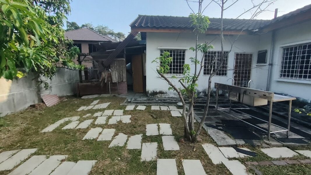 photo_6220015206675451590_y