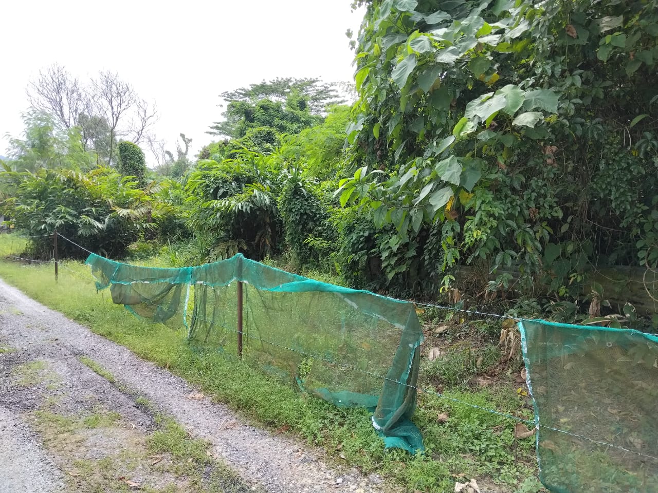 Tanah 2 Land in Gombak