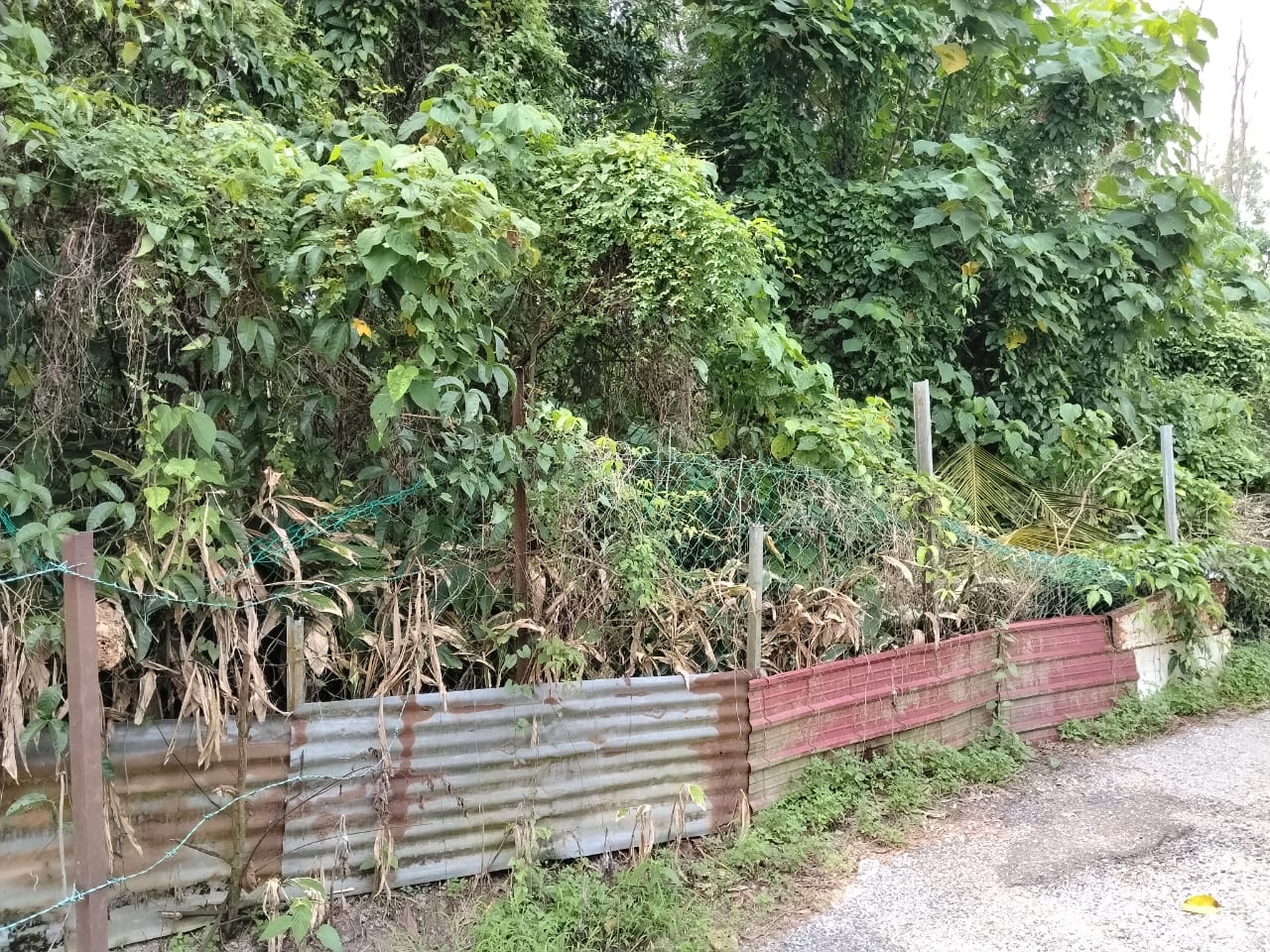 Tanah1 Land in Gombak